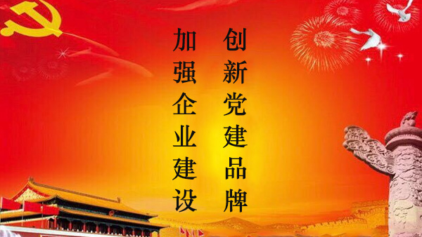 党组织概况